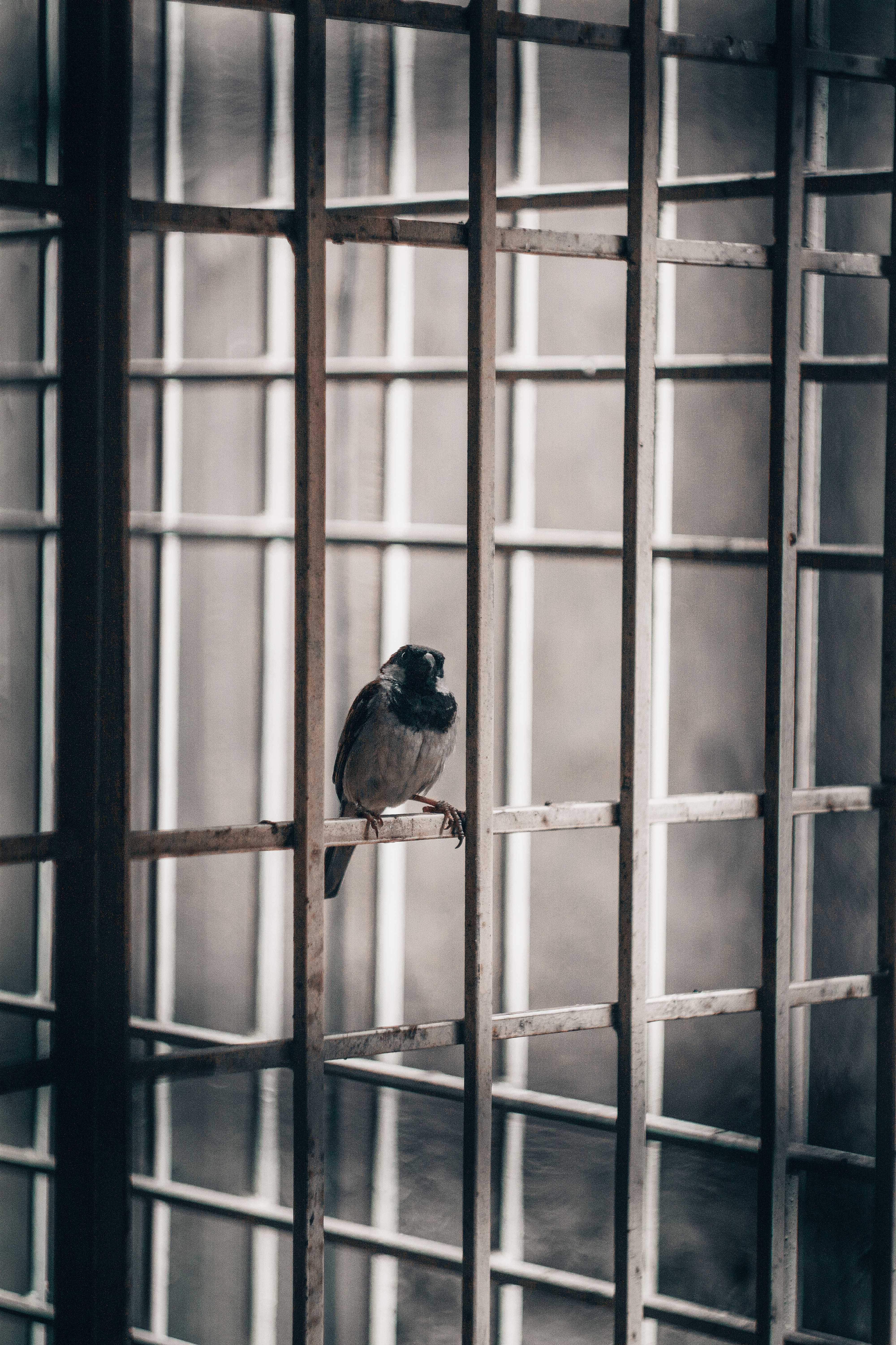 Prison de Lantin : La double faute de l’état est reconnue par la justice